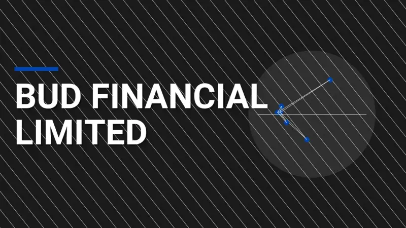 Bud Financial Limited: A Comprehensive Overview