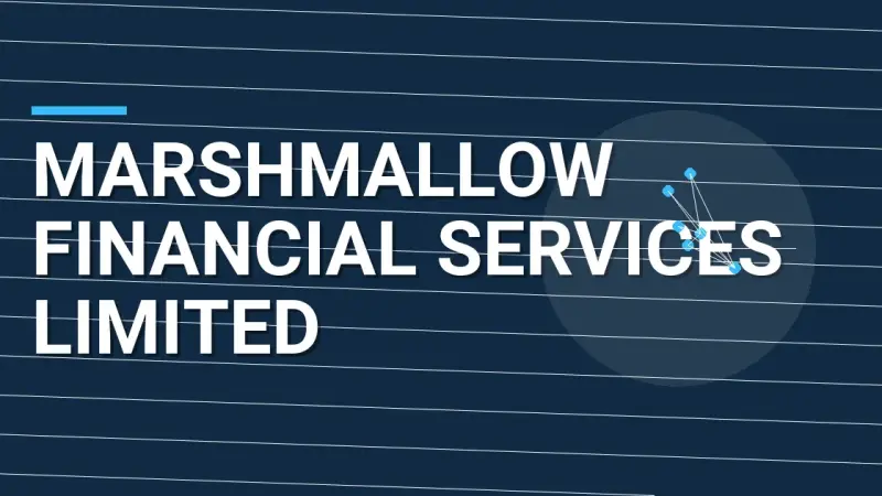 Marshmallow Financial Services Limited: A Comprehensive Overview