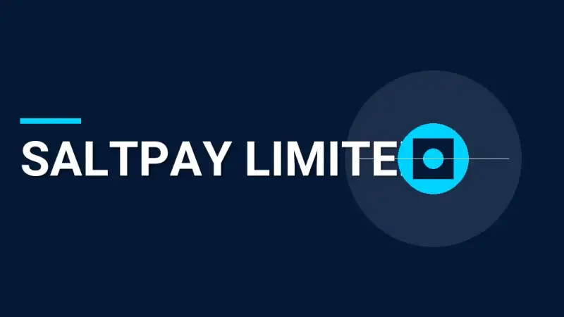SaltPay Limited: Comprehensive Company Overview and Insights