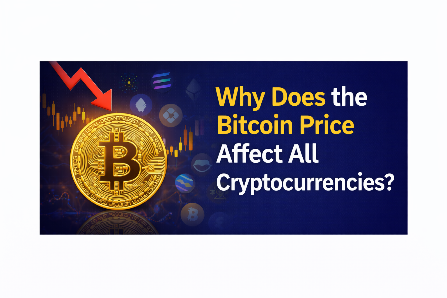 Why Does the Bitcoin Price Affect All Cryptocurrencies
